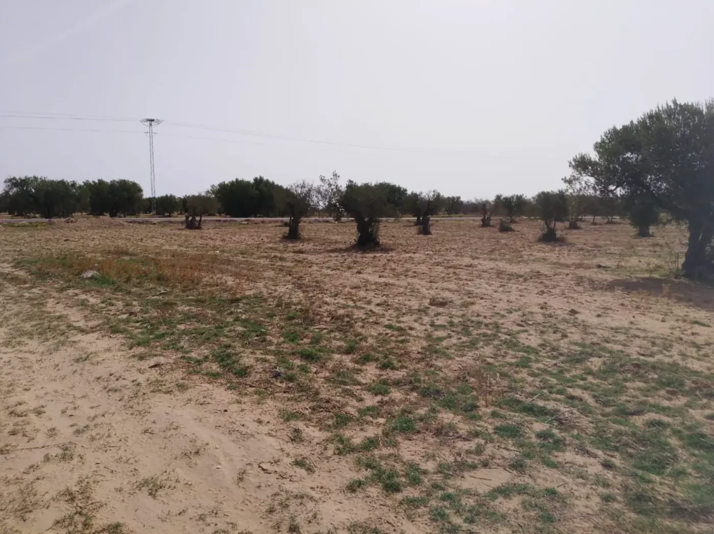 مسلك داخلي بالأرض